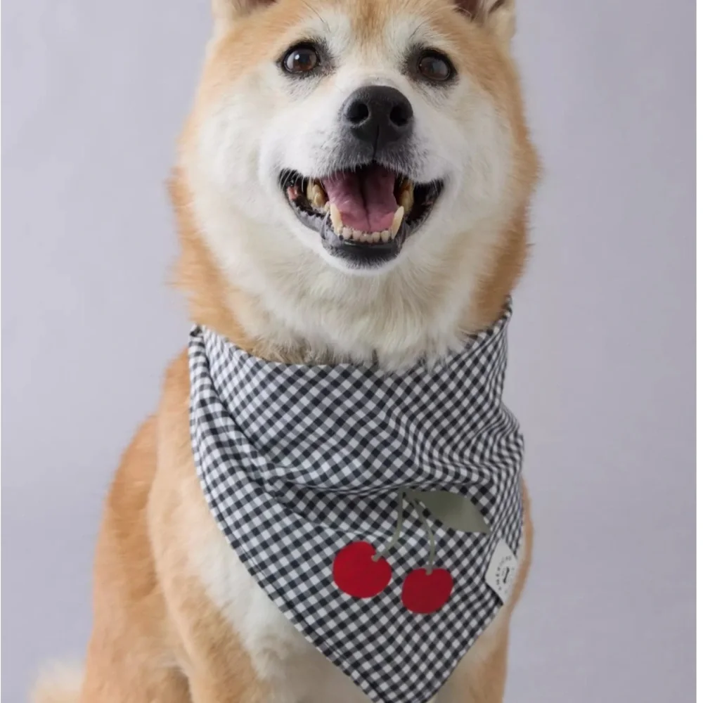 Cherry Gingham Dog Bandana AEO Black and White Check Kitschy Cute